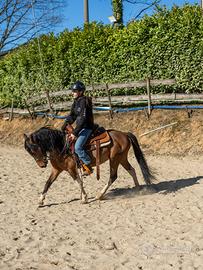 Pony pezzato