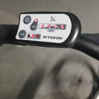 Bicicletta pieghevole elettrica