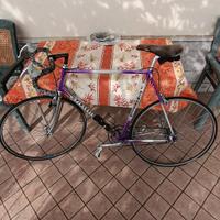 Bici da corsa Pinarello modello Treviso 