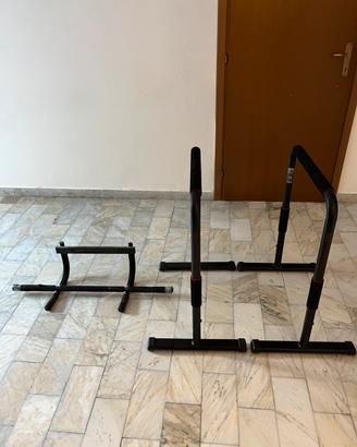 Parallele e sbarra trazioni