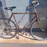 Varie Bici Vintage REVISIONATE