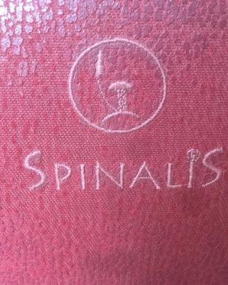 Sedia ortopedica Spinalis
