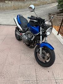 Honda hornet 600