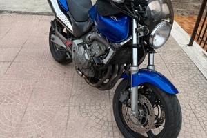Honda hornet 600