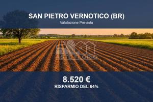 Immobile in asta di 21578 m² a San Pietro Vernotic