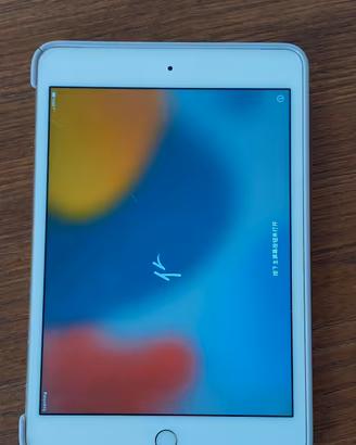 ipad mini 4 64gb wifi+cell
