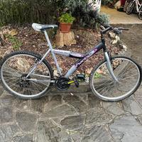 Bici diverse eta' e modelli