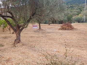 Terreno agricolo di 970 mq