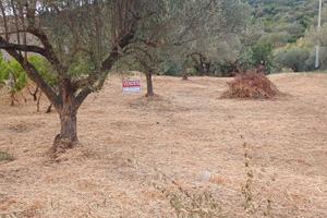 Terreno agricolo di 970 mq