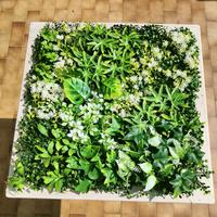 pannelli finta siepe da giardino o interni