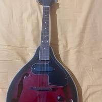 Mandolino elettrico Tenson