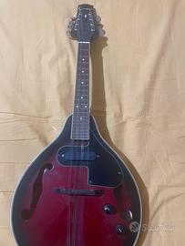 Mandolino elettrico Tenson