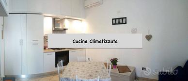 FIUMICINO BILOCALE ARREDATO Con CORTE ESTERNA