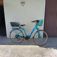 Bicicletta elettrica Whistle anno 2017