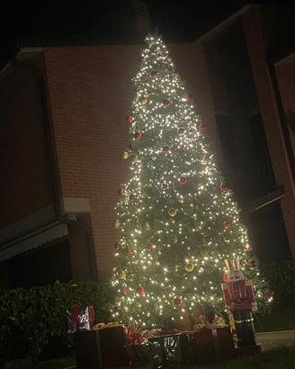 albero di natale  3 metri
