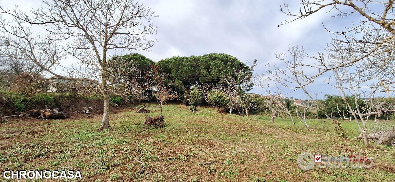 Castanea,terreno agricolo di circa 3300mq, - Altro