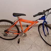 Bicicletta regina dakar