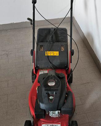 Rasaerba a spinta Efco® LR 48 k500