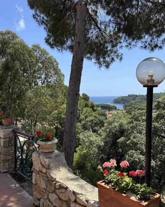 Villa di 221 m² con più di 5 locali a Capoliveri