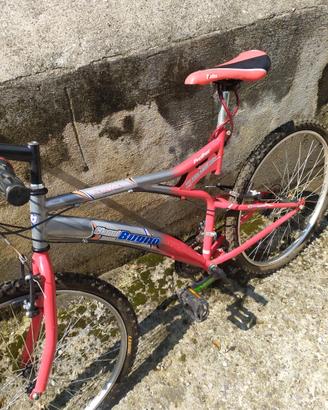 Mountain bike nuova vinta alla lotteria mai usata