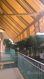 TAGLIATA DI CERVIA giugno 2026