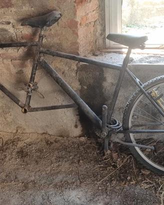 Tandem e bici