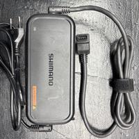 Caricabatteria ebike