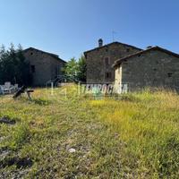 PA445 Podere di 321mq comprendente tre fabbricati