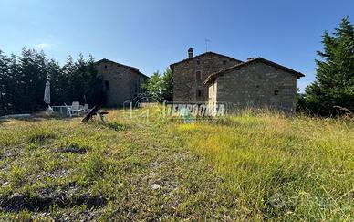 PA445 Podere di 321mq comprendente tre fabbricati