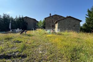 PA445 Podere di 321mq comprendente tre fabbricati