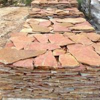 NovitÀ Scorza gialla e rosa