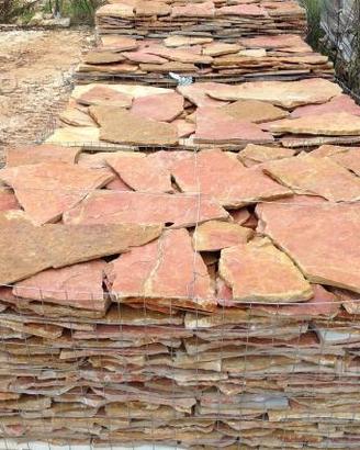 NovitÀ Scorza gialla e rosa