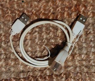 Sdoppiatore USB