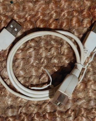 Sdoppiatore USB