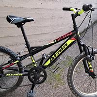 Mtb Atala 20