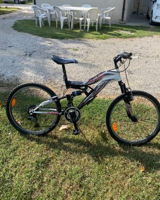 Mountainbike ruota 24