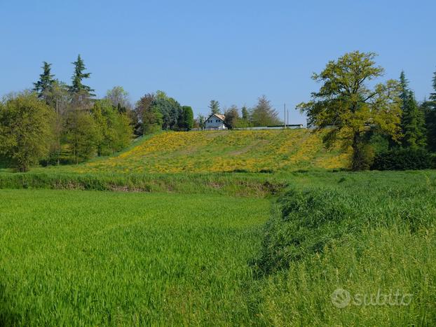 Terreno agricolo