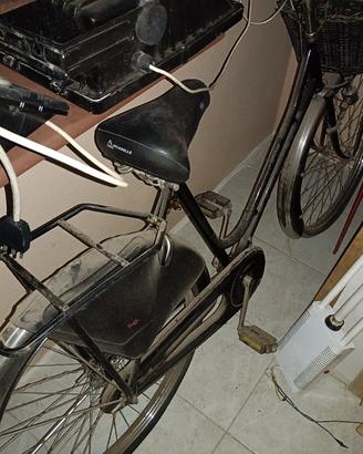 Bicicletta bici