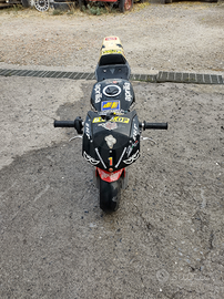 Minimoto REPLICA BLATA