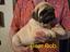 Immagine 1