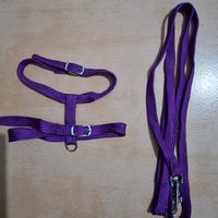 Pettorina e Guinzaglio