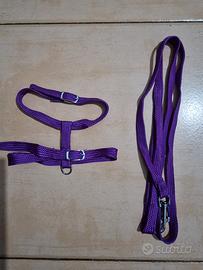 Pettorina e Guinzaglio