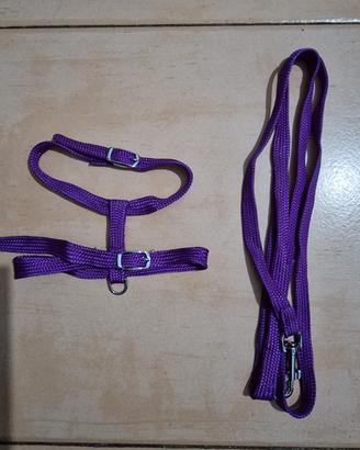 Pettorina e Guinzaglio