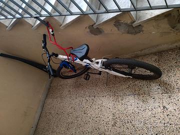 bicicletta 20 pollici