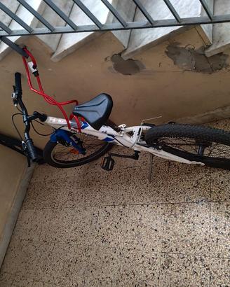 bicicletta 20 pollici