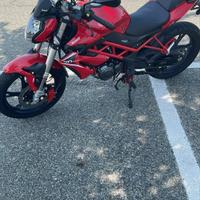 Benelli bn 125 2022