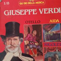 Collezione LP in vinile