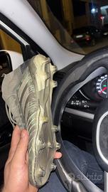 Predator professionali