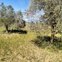 Terreno - Caltagirone