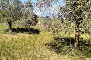 Terreno - Caltagirone